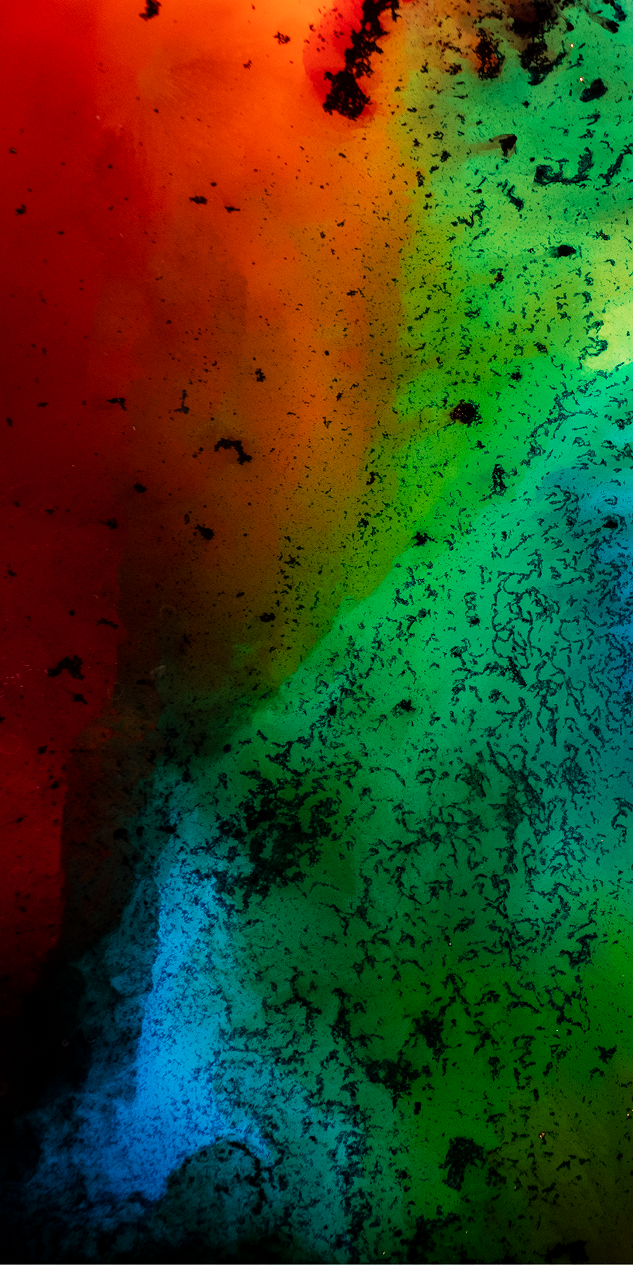 3x6 crop