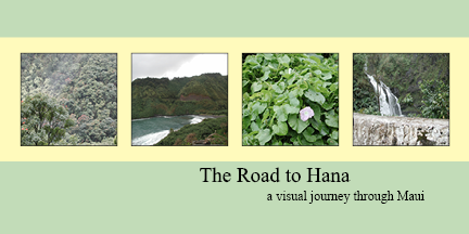 hawaii links